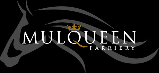 Mulqueen Farriery Logo